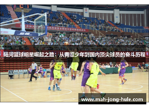 陆河篮球明星崛起之路：从青涩少年到国内顶尖球员的奋斗历程